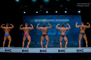 BODYBUILDING НОВИЧКИ